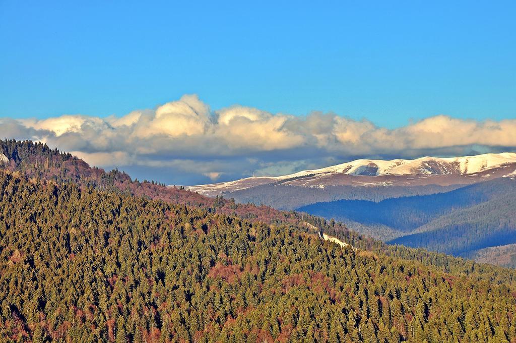 Complex Hotelier Cota O Mie Sinaia Bagian luar foto