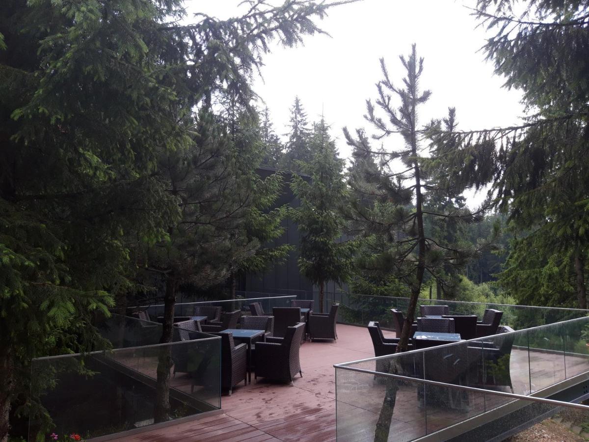 Complex Hotelier Cota O Mie Sinaia Bagian luar foto